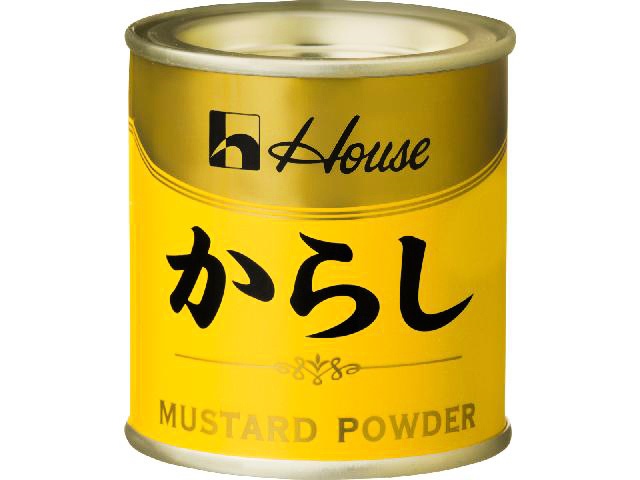 ハウス食品 からし缶入り ３５ｇ □お取り寄せ品 【購入入数１６０個】