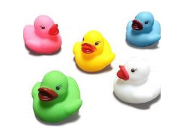 イマイ ちゃぷちゃぷミニアヒルカラー ５０個入 【数量限定】 □お取り寄せ品 【購入入数１２個】［おもちゃ］