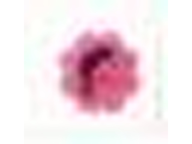 ジェイズ エコバッグ ペコちゃんレッド 【新商品 2/17 発売】 □お取り寄せ品 【購入入数６個】［おもちゃ］