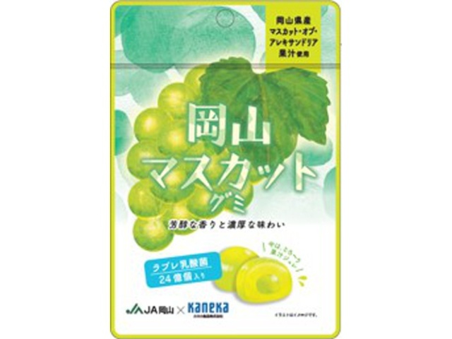 カネカ 岡山マスカットグミ ラブレ乳酸菌入４０ｇ  【購入入数１０個】