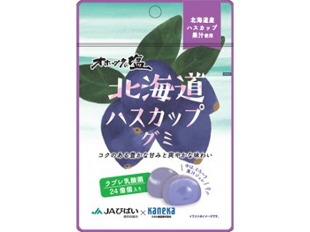 カネカ 北海道ハスカップグミ ラブレ乳酸菌入４０ｇ  【購入入数１０個】
