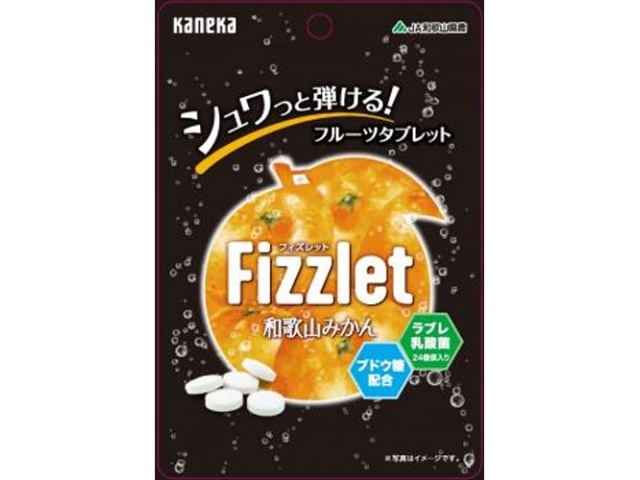カネカ Ｆｉｚｚｌｅｔ 和歌山みかん２４ｇ □お取り寄せ品 【購入入数１００個】
