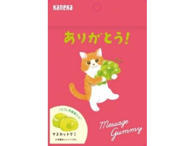 カネカ メッセージグミ ありがとう４０ｇ 【新商品 12/1 発売】 □お取り寄せ品 【購入入数８０個】