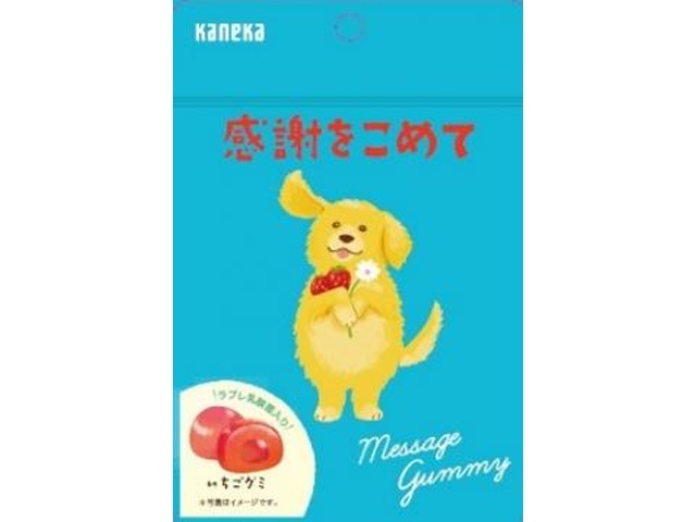 カネカ メッセージグミ 感謝をこめて４０ｇ 【新商品 12/1 発売】 □お取り寄せ品 【購入入数８０個】
