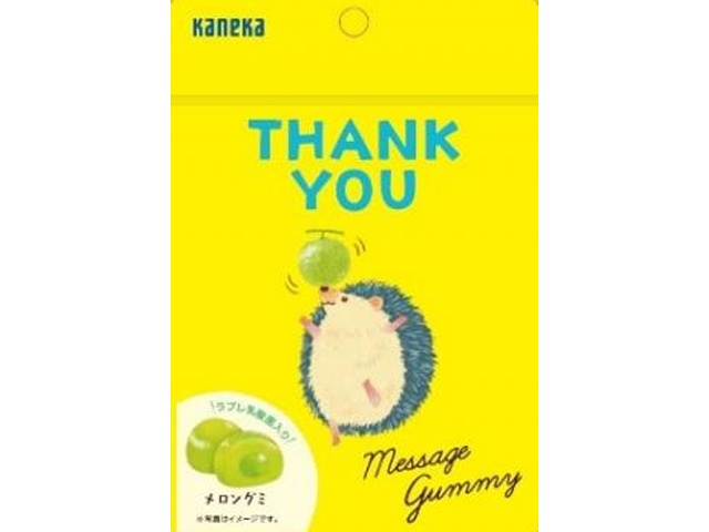 カネカ メッセージグミＴＨＡＮＫＹＯＵ４０ｇ 【新商品 12/1 発売】 □お取り寄せ品 【購入入数８０個】