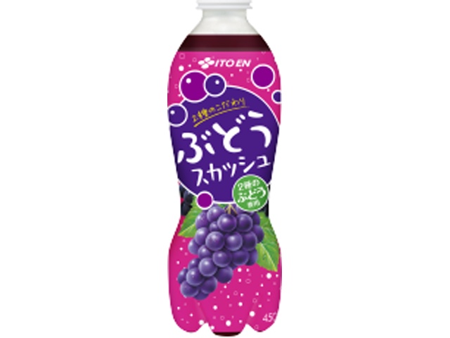 伊藤園 ２種のこだわりぶどうスカッシュＰ４５０ｍｌ □お取り寄せ品 【購入入数２４個】