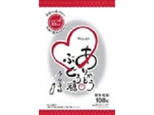 春日井製菓 ありがとうぶどう糖 ２３９ｇ □お取り寄せ品 【購入入数１２個】