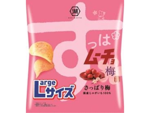 湖池屋 Ｌサイズすっぱムーチョさっぱり梅１０８ｇ □お取り寄せ品 【購入入数１２個】
