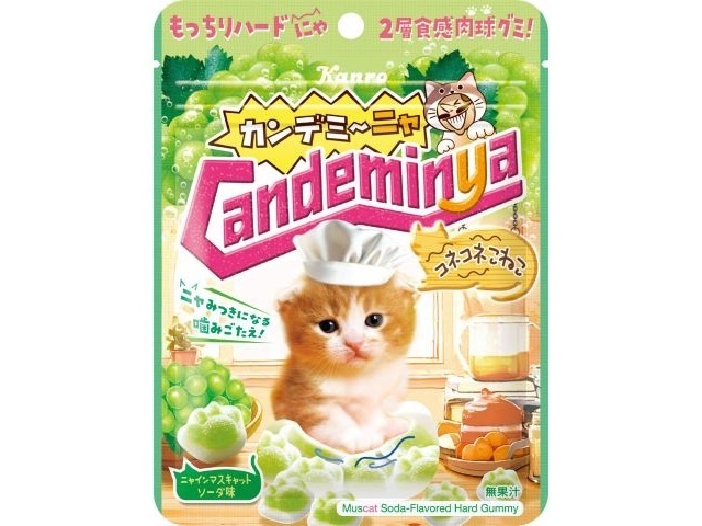 カンロ カンデミーニャグミ コネコネこねこ６０ｇ 【新商品 2/9 発売】 △ 【購入入数６個】