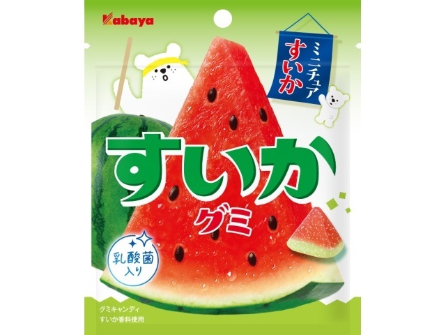 カバヤ すいかグミ ５０ｇ 【新商品 3/24 発売】 □お取り寄せ品 【購入入数１２０個】