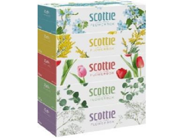 スコッティ フラワーボックス２５０Ｗ５Ｐ □お取り寄せ品 【購入入数１２個】