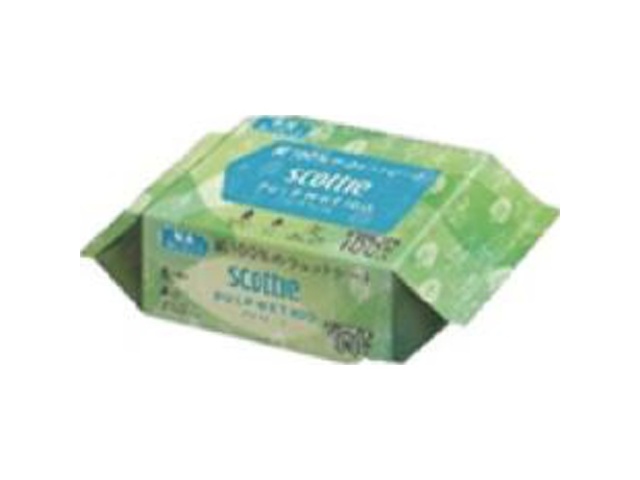 スコッティ パルプウェット １００枚 □お取り寄せ品 【購入入数２４個】