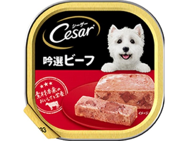 シーザー ビーフ １００ｇ □お取り寄せ品 【購入入数９６個】