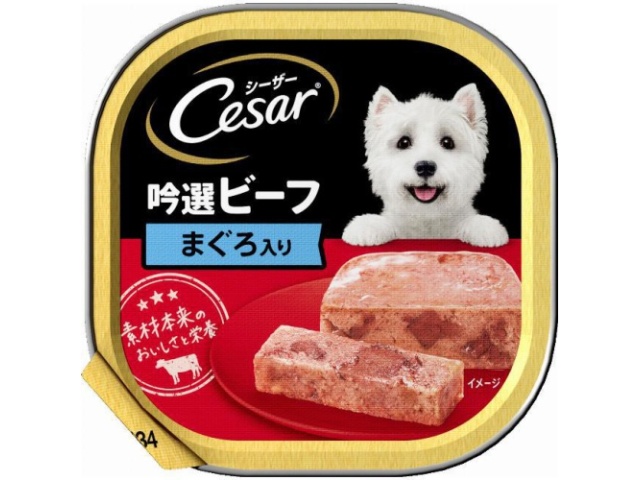 シーザー ビーフまぐろ １００ｇ □お取り寄せ品 【購入入数２４個】