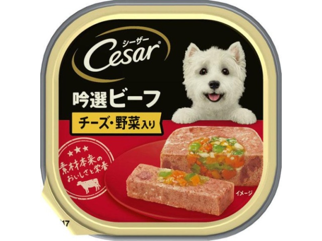 シーザー ビーフチーズ １００ｇ □お取り寄せ品 【購入入数２４個】