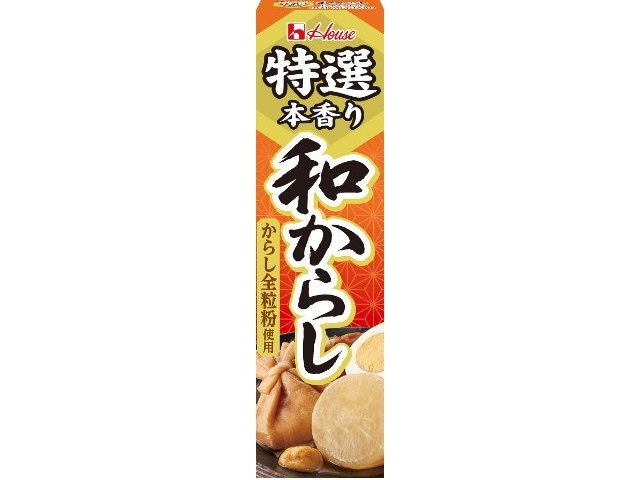ハウス食品 特選本香り和からし ４２ｇ 【今月の特売 調味料】 □お取り寄せ品 【購入入数１２０個】