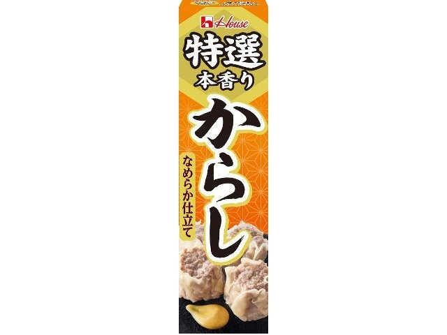 ハウス食品 特選からし ４２ｇ 【今月の特売 調味料】 □お取り寄せ品 【購入入数１２０個】