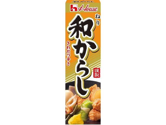 ハウス食品 ねり和からし ４３ｇ 【今月の特売 調味料】 △ 【購入入数１０個】