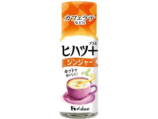 ハウス食品 ヒハツ＋ ジンジャー１１ｇ □お取り寄せ品 【購入入数８０個】