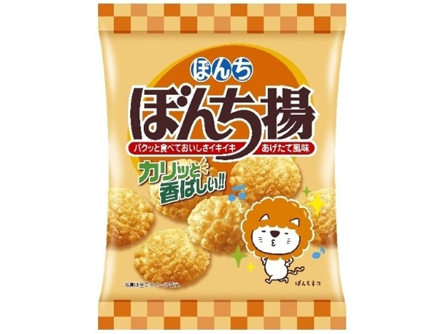 ぼんち ぼんち揚 ６０ｇ △ 【購入入数２０個】