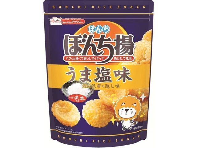 ぼんち ぼんち揚 うま塩味チャック付８５ｇ □お取り寄せ品 【購入入数１２個】