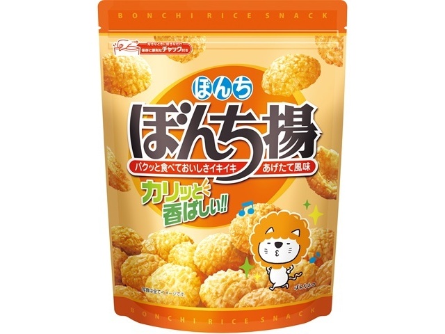 ぼんち ぼんち揚チャック付 １００ｇ □お取り寄せ品 【購入入数１２個】