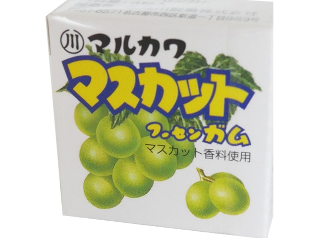 丸川製菓 マスカットフーセンガム □お取り寄せ品 【購入入数４８０個】