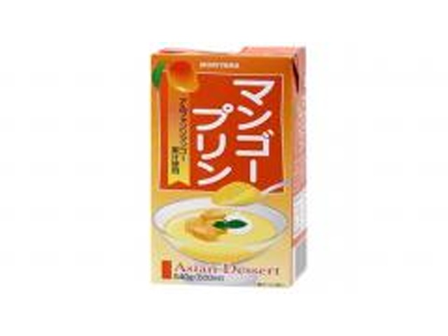 守山 マンゴープリン ５４０ｇ業務用 □お取り寄せ品 【購入入数１２個】